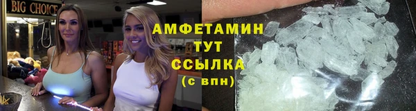 индика Белоозёрский