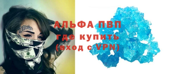 индика Белоозёрский