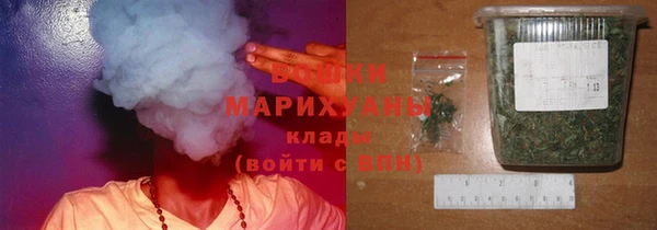 индика Белокуриха