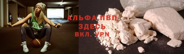индика Белоозёрский
