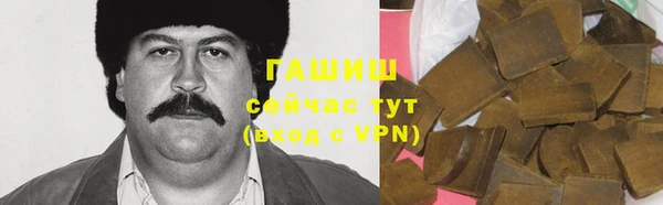 индика Белокуриха