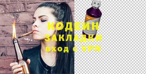 индика Белокуриха