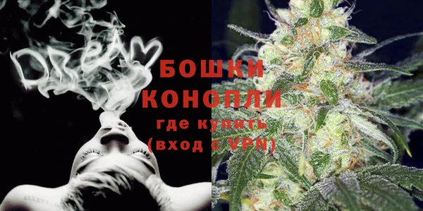 индика Белокуриха