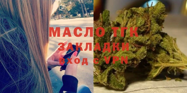 индика Белокуриха