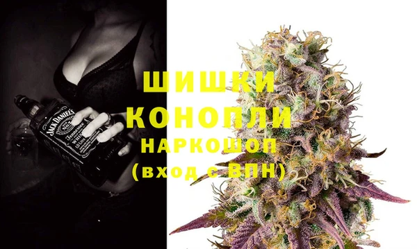индика Белоозёрский