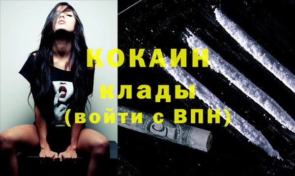 индика Белоозёрский