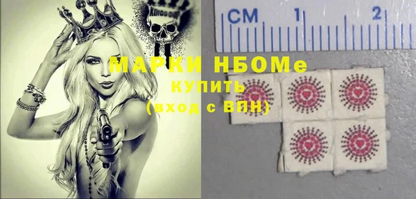 индика Белокуриха