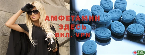 индика Белокуриха